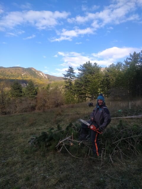 Samuel Beaudoin - coupe de bois