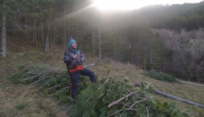 Espaces Verts _ Bûcheronnage