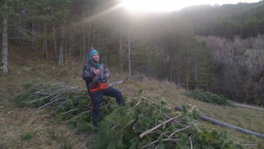 Espaces Verts _ Bûcheronnage