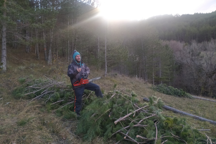 Espaces Verts _ Bûcheronnage