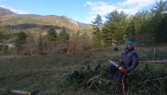 Espaces Verts _ Bûcheronnage