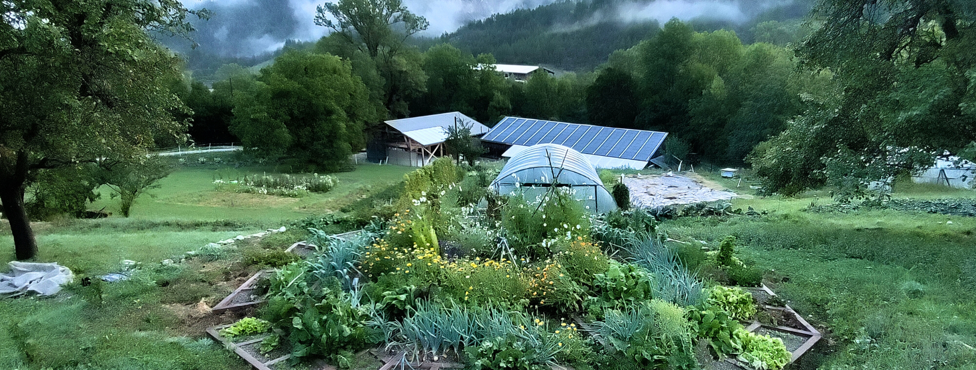 Bienvenue dans l'antre Des Herbes et du Bois