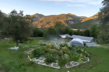 Mandala_coeur-fleuri1 Mandala en bois pour fleurs et légumes