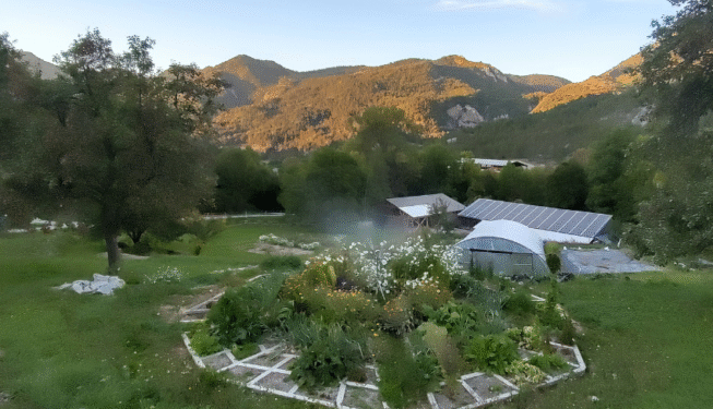 Mandala en bois pour fleurs et légumes
