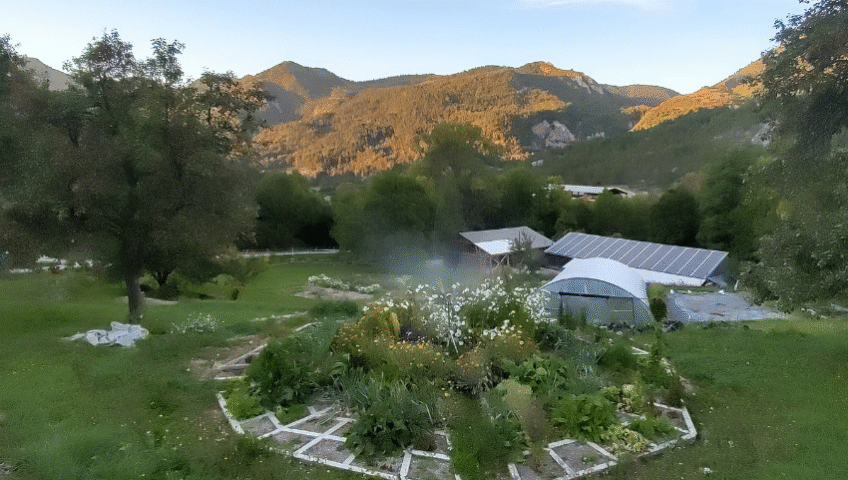 Mandala en bois pour fleurs et légumes
