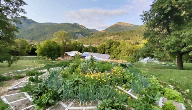 Mandala en bois au coeur du jardin avec des fleurs, des aromatiques et des légumes