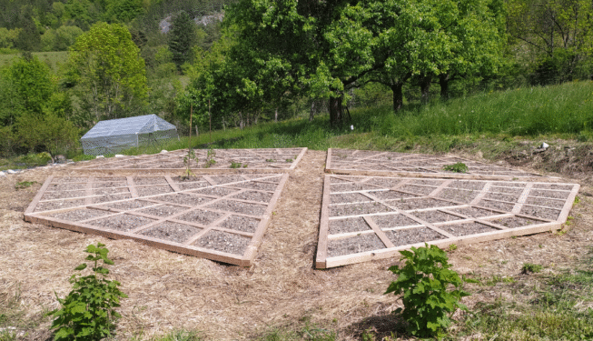 Mise en place du grand mandala en bois pour plante